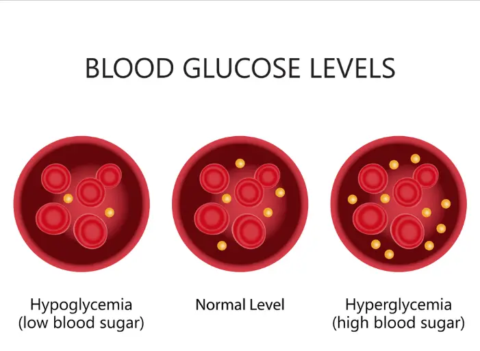 gluco revive supplement